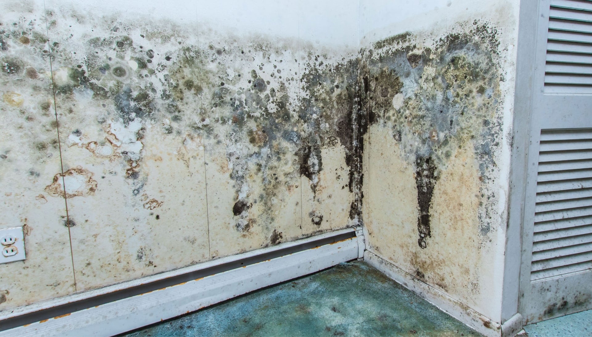 Mold overtakes a wall and carpet during a water damage cleanup in a home in Savannah, GA.